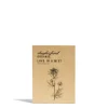 Daylesford Organic Nigella Seeds